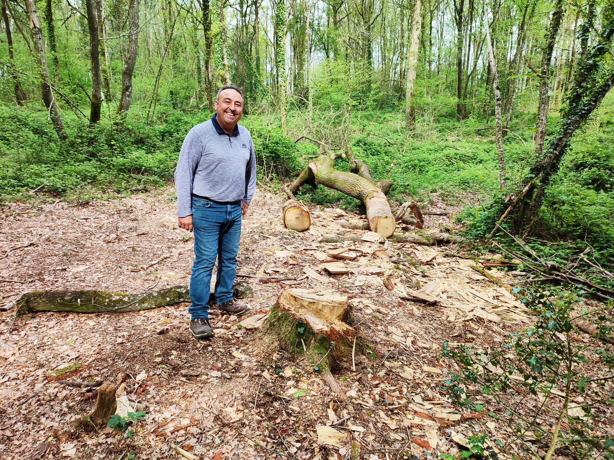 Il y aura un chêne de Saint Quentin dans « la forêt » de Notre-Dame